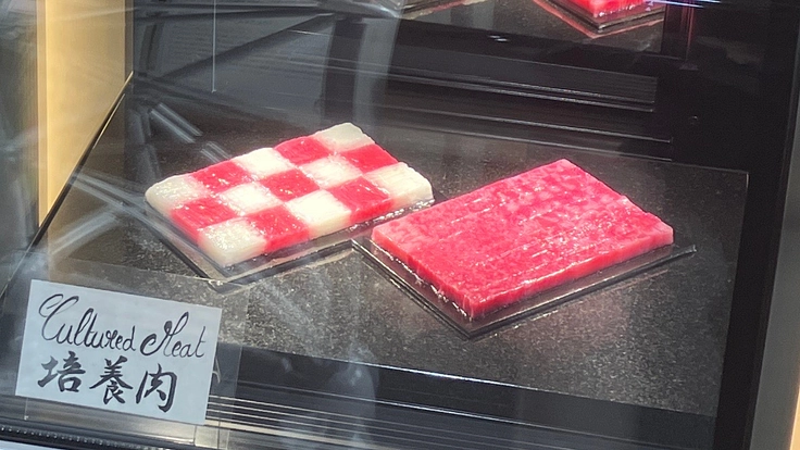 培養肉の全国展示の実現プロジェクト(2)